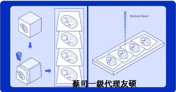 亳州蔡司亳州扫描电镜