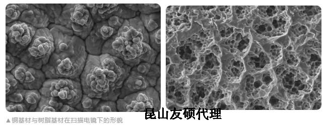 亳州蔡司亳州扫描电镜