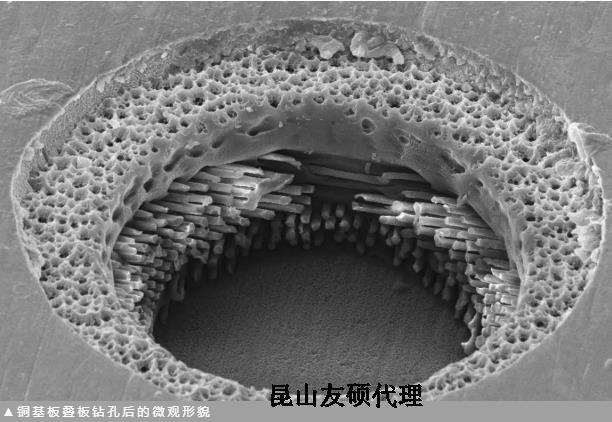 亳州蔡司亳州扫描电镜